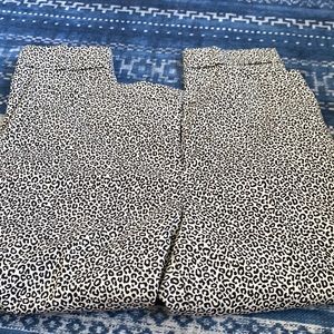 Ann Taylor Trouser